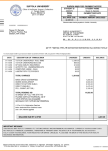 school invoice template 126528 8 school fee bill format  opendata school fee receipt template