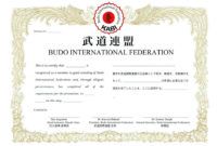 free black belt certificate template six sigma black belt certificate karate certificate template excel
