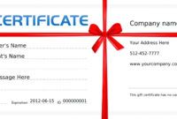 free template fun gift certificate template voucher format image sample personal training gift certificate template excel