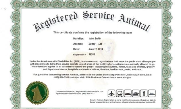 editable 004 service dog certificate template frightening ideas pdf free service dog training certificate template examples