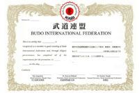 023 martial arts certificate templates black belt template maker martial arts certificate template excel
