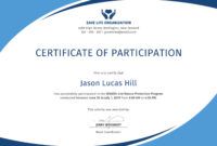 certificate of participation template 13  elsik blue cetane certificate of participation template doc