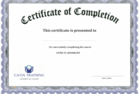 free course completion certificate format word hadipalmexco parenting class certificate of completion template examples