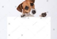 dog placard jack russel terrier above stock photo edit now dog gift certificate template doc