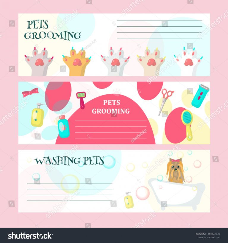 Editable Vector Set Pet Grooming Cards Flyers Stock Vector Royalty Dog