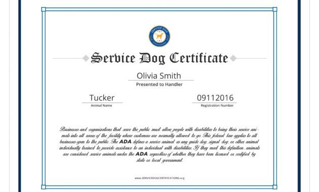 service animal certificate template  carlynstudio emotional support dog certificate template pdf