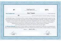 editable free stock certificate online generator electronic stock certificate template