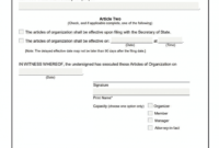 editable llc georgia  how to form an llc in georgia certificate of organization template excel