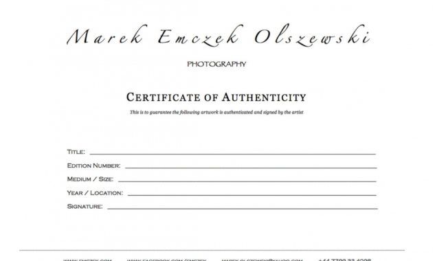 free how to create a certificate of authenticity for your photography certificate of authenticity photography template excel