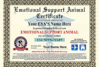 free service dog certificate template ~ addictionary emotional support animal certificate template