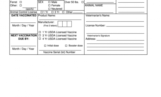 editable rabies certificate  fill out and sign printable pdf template  signnow rabies certificate template examples