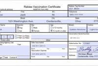free usda aphis  travel documentation  rabies vaccination rabies certificate template pdf