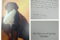 meadowlands veterinarian center  veterinarian in willoughby thank you card for veterinarian pdf