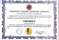 Professional Chinese Language Teaching Certificate Excel