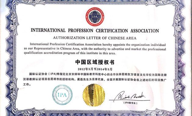 Professional Chinese Language Teaching Certificate Excel