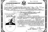 Costum American Citizenship Certificate Doc Sample