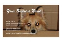 Free Dog Grooming Business Card Templates Word Example