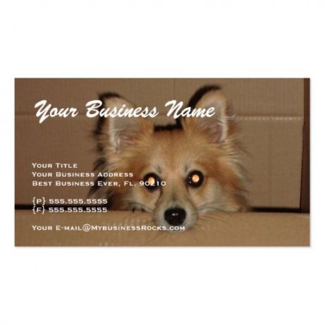 Free Dog Grooming Business Card Templates Word Example