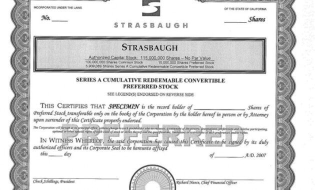 Costum Preferred Stock Certificate Template Pdf Example