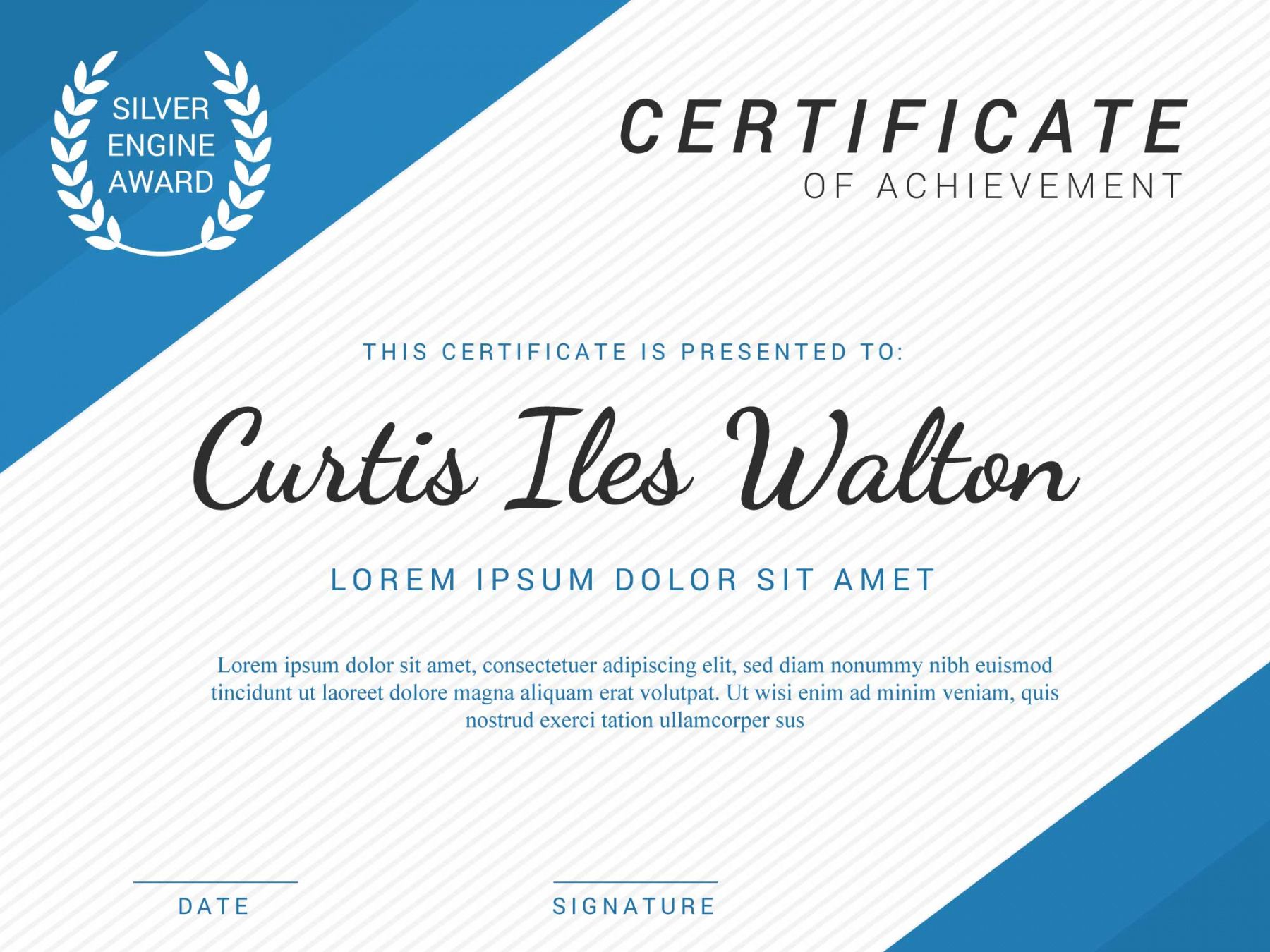 Professional Certificate Template Without Border Word Sample