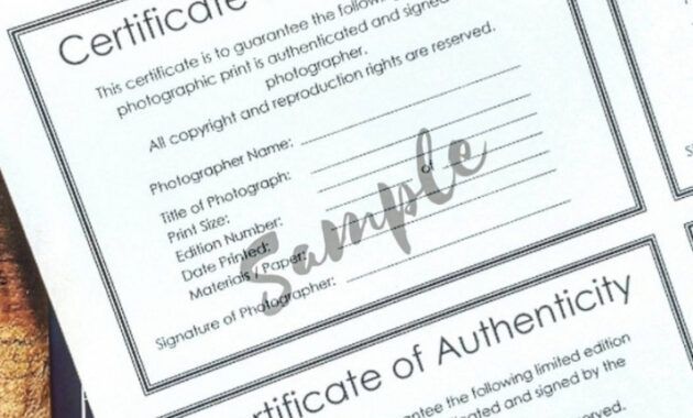 Printable Jewelry Certificate Of Authenticity Template  Sample