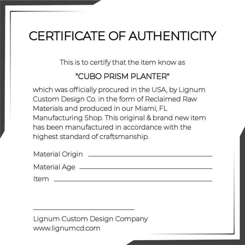 Professional Modern Certificate Of Authenticity Template | EmetOnlineBlog