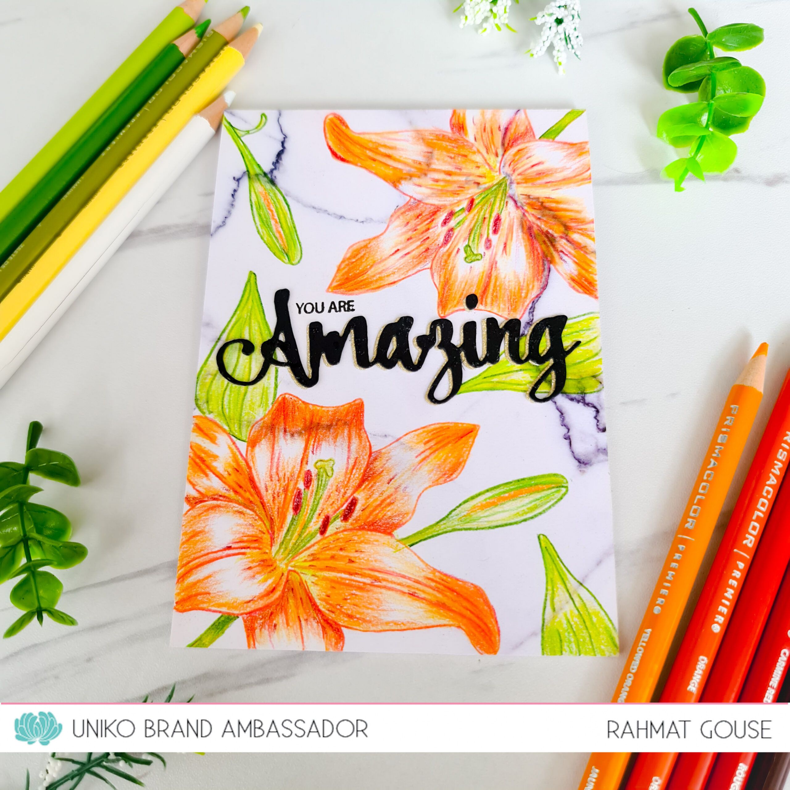 Professional Brand Ambassador Thank You Card Excel Example