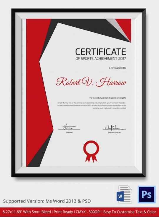Costum Sports Day Certificate Template  Example