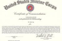 Best Navy And Marine Corps Achievement Medal Certificate Template Excel