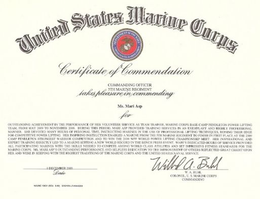 Best Navy And Marine Corps Achievement Medal Certificate Template Excel Emetonlineblog 