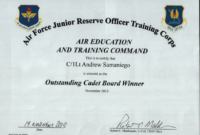 Costum Military Outstanding Volunteer Service Medal Certificate Template Word Example