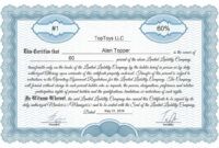 Editable Company Ownership Certificate Template Excel Example