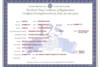 Editable Pet Ownership Certificate Template Pdf Example