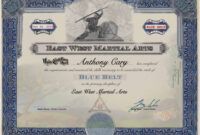Editable Taekwondo Certificate Template Doc