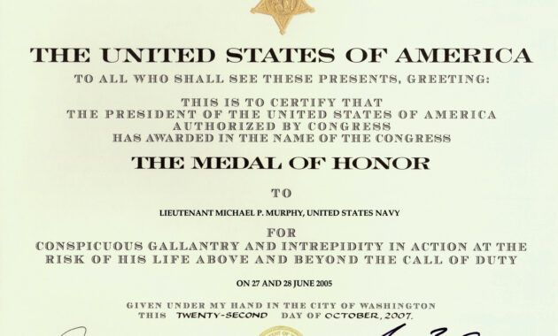 Free Meritorious Service Medal Certificate Template Doc Sample