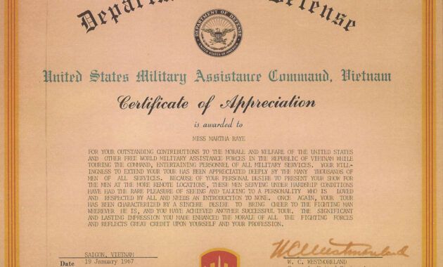 Navy And Marine Corps Achievement Medal Certificate Template  Sample