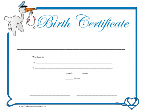 Printable Rabbit Birth Certificate Template Excel