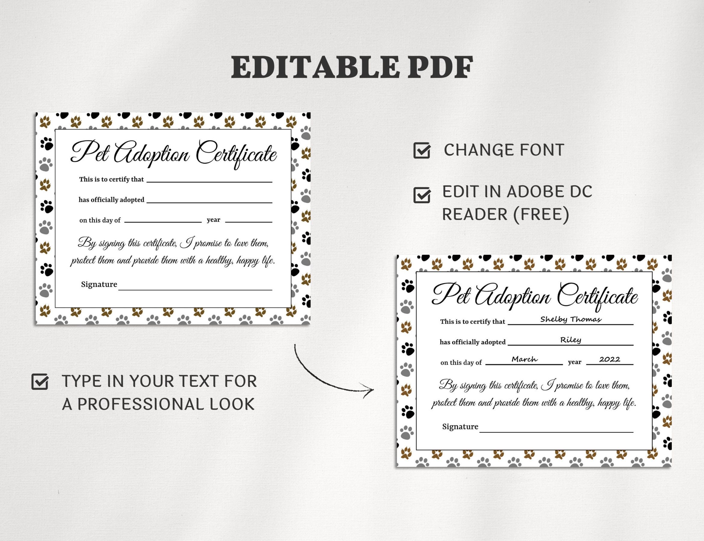 Best Adopt A Pet Certificate Template Excel Example