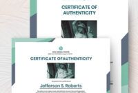 Best Modern Certificate Of Authenticity Art Template Excel