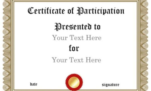 Certificate Of Participation Sample Template Excel Sample