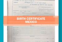 Costum Certificate Of Birth Translation Template Doc Example