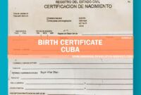 Costum Cuban Birth Certificate Translation Template Excel