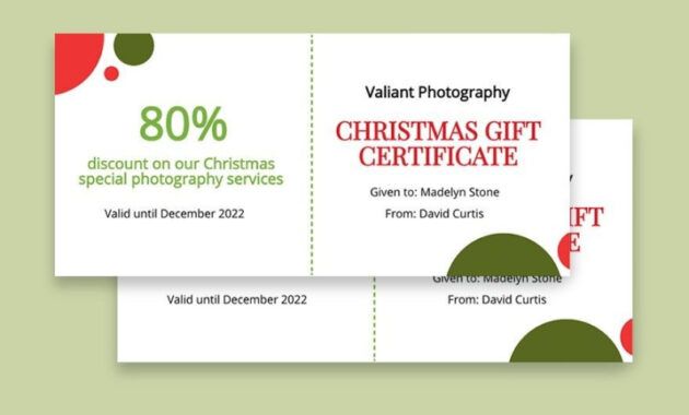 Professional Christmas Gift Card Certificate Template Excel