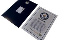 Printable Guinness World Record Certificate Template Excel Sample