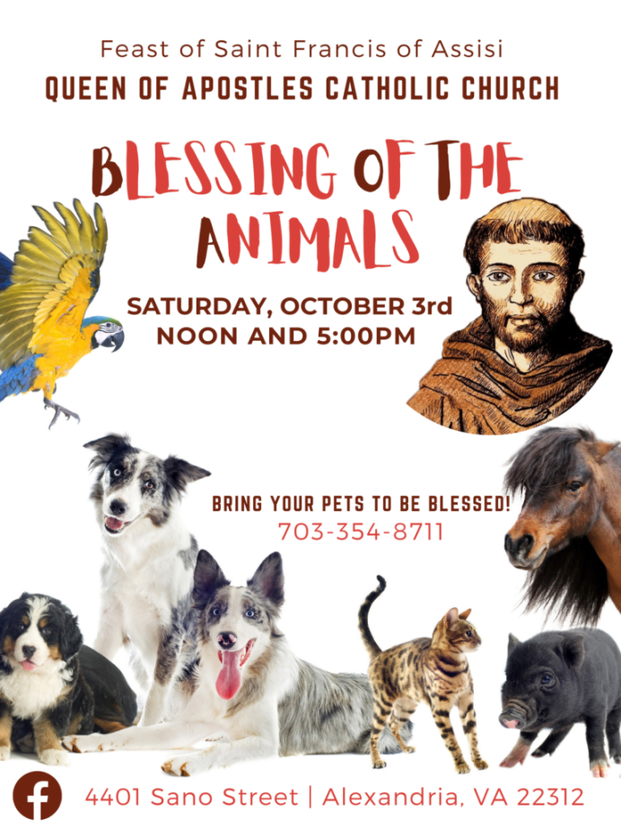 Custom Blessing Of The Animals Certificate Template Excel