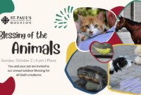 Editable Blessing Of The Animals Certificate Template Word