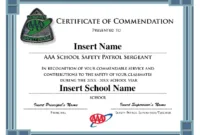 Free Custom Civil Air Patrol Certificate Of Appreciation Template Pdf Sample