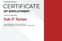 Blank Private School Teaching Experience Certificate Template Pdf Sample