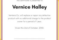 Blank Product Warranty Certificate Template Excel Sample