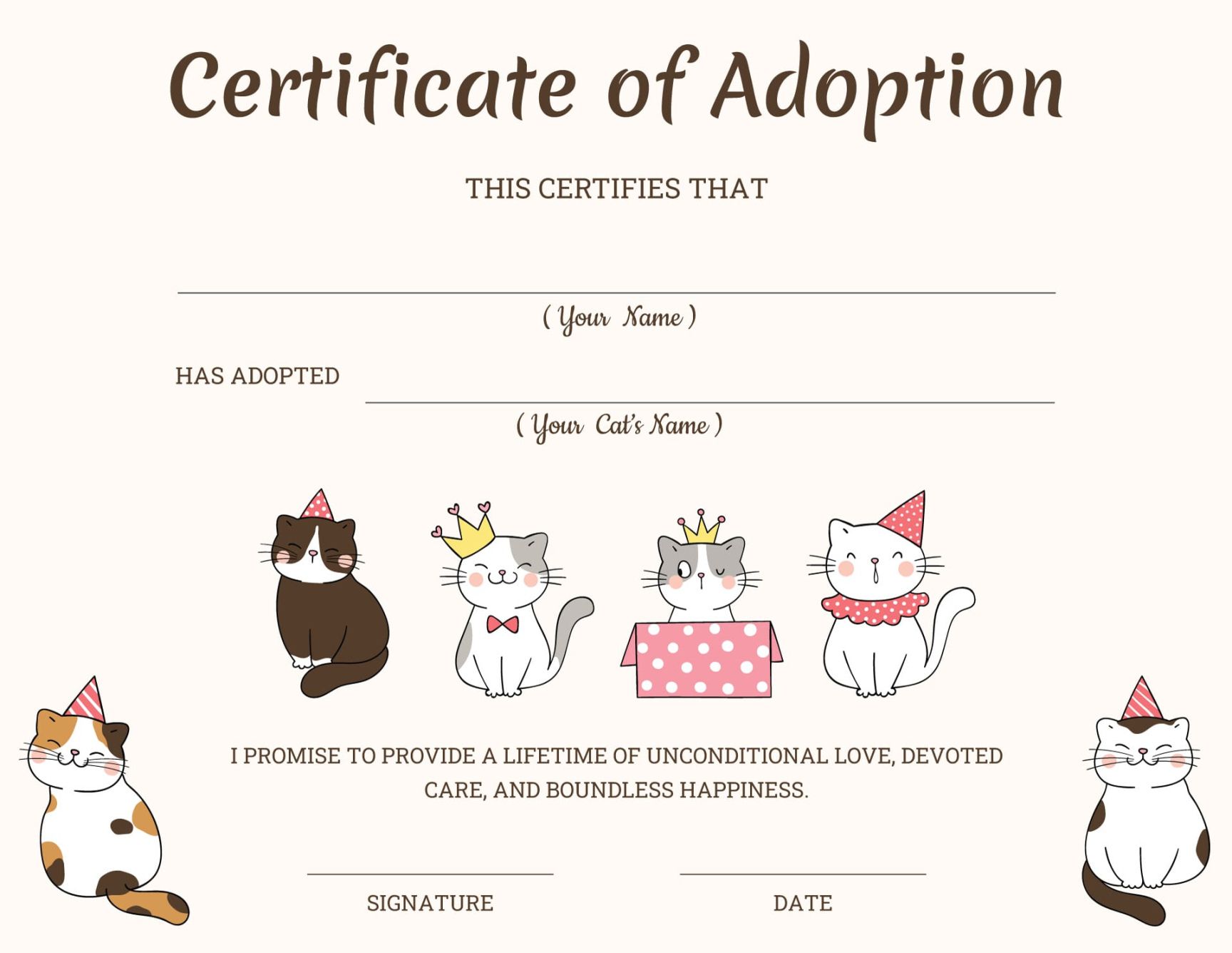 Free Blank Cat Adoption Certificate Template Pdf